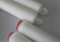 10 inch PP Membrane PP Pleated Filter Cartridge with 0.22 Micron supplier